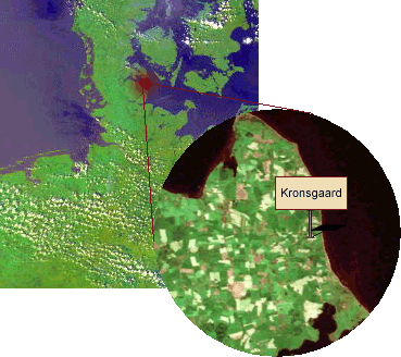 Hier liegt Kronsgaard